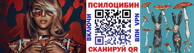 Псилоцибиновые грибы прущие грибы  Купить где  Севастополь 